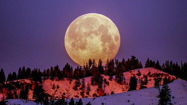 flower moon mei 2026